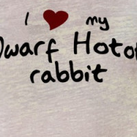Dwarf Hotot T-shirt