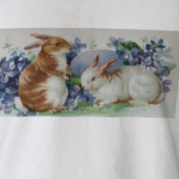 Easter Bunny Rabbits T-Shirt T-shirt