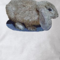 Holland Lop Ear Rabbit Shirts T-shirt