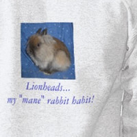 Lionhead hoodie: Yes... this IS a rabbit! T-shirt
