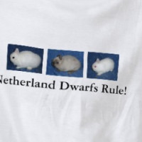 Netherland Dwarf shirt T-shirt